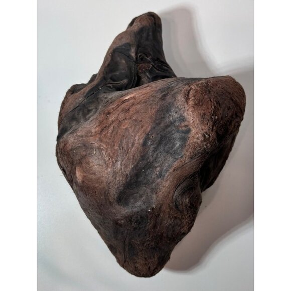 Unique heart-shaped driftwood Northern California Aquarium Decor - Picture 4 of 4